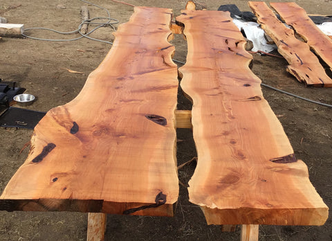 Juniper Slab 2" Thick, 12" to 18" Width 2 live edges