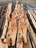 Juniper Slab 1" Thick, 12" to 18" Width with 2 live edges