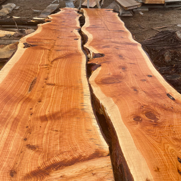 Juniper Slab 1" Thick, 6" to 12" Width wth 2 live edges