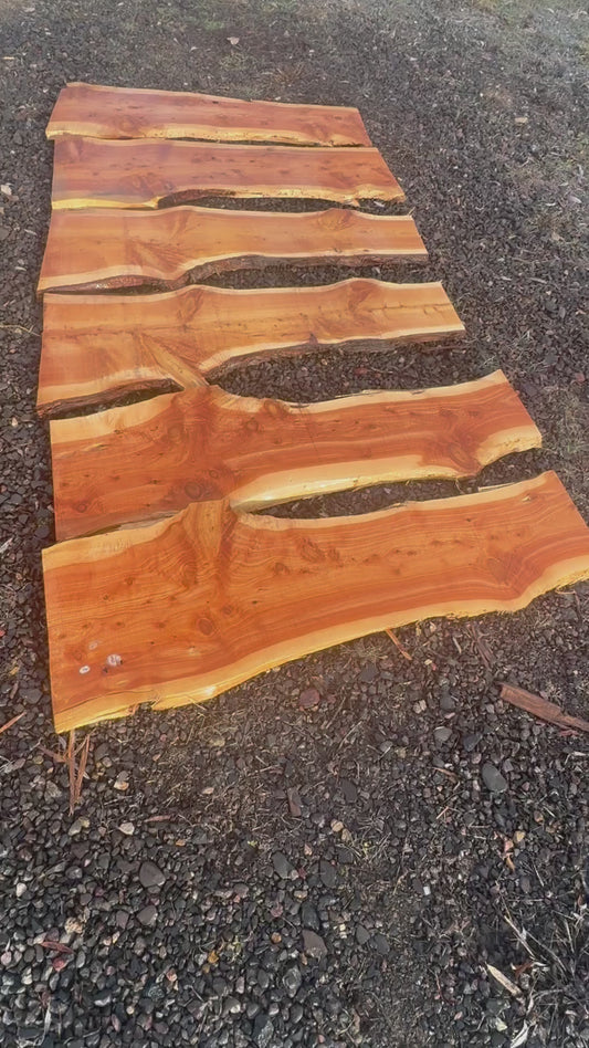 Juniper Slab 1" Thick, 12" to 18" Width with 2 live edges